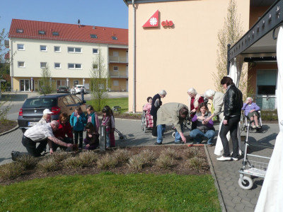 Blumenzwiebeln_2